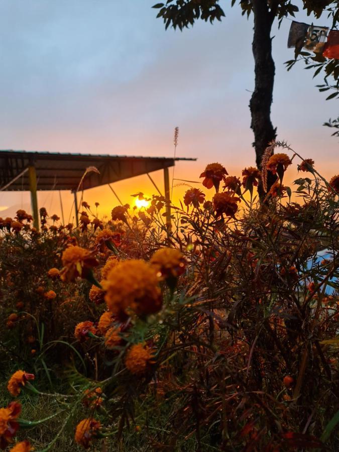 The Kanatal Arbour Dış mekan fotoğraf