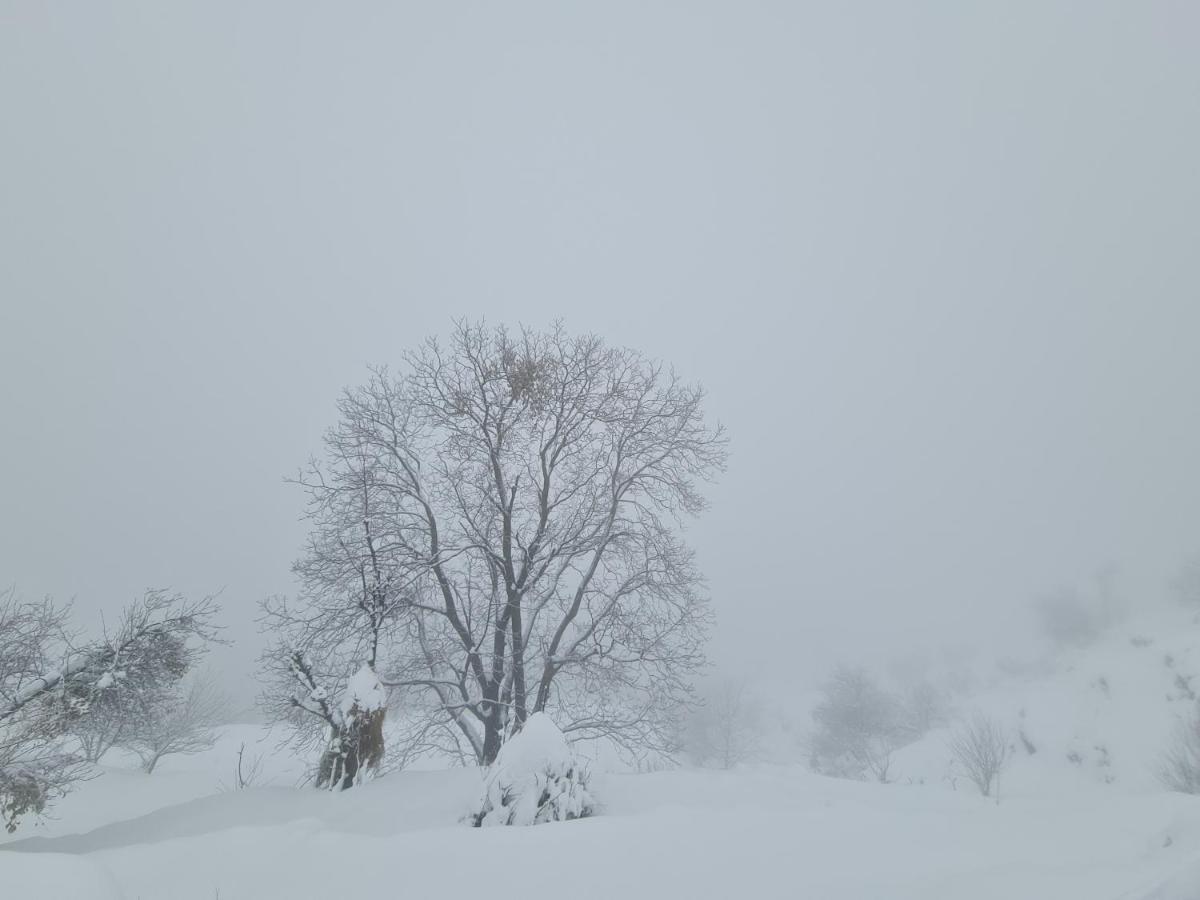 The Kanatal Arbour Dış mekan fotoğraf